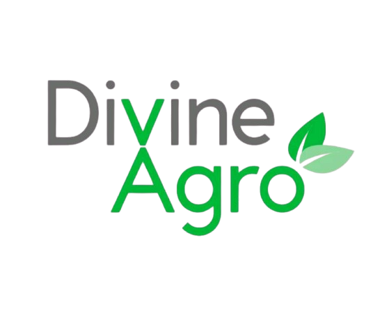Logo DivineAgro